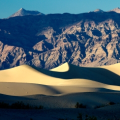 death valley oct 2010 010