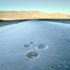 death valley oct 2010 023